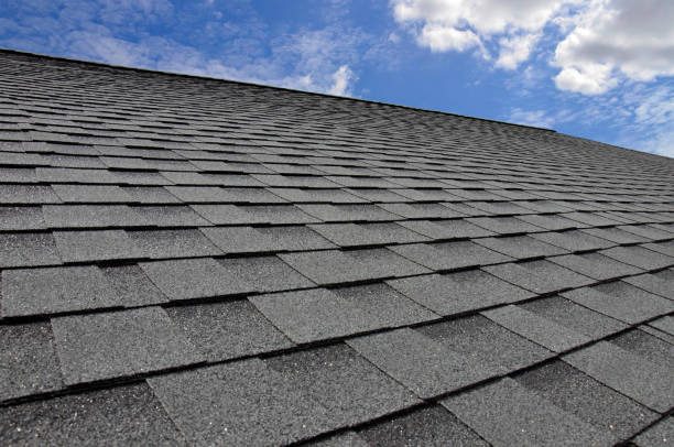 Best Asphalt Shingle Roofing  in Ocean Grove, NJ